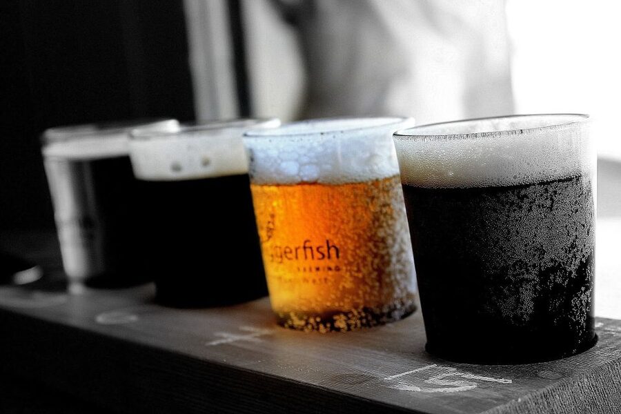 DAILY Beer Tasting Private Guided Tour at Best Warsaw Pubs - Stop 2: Regional beer tastes at a curated pub (500ml)