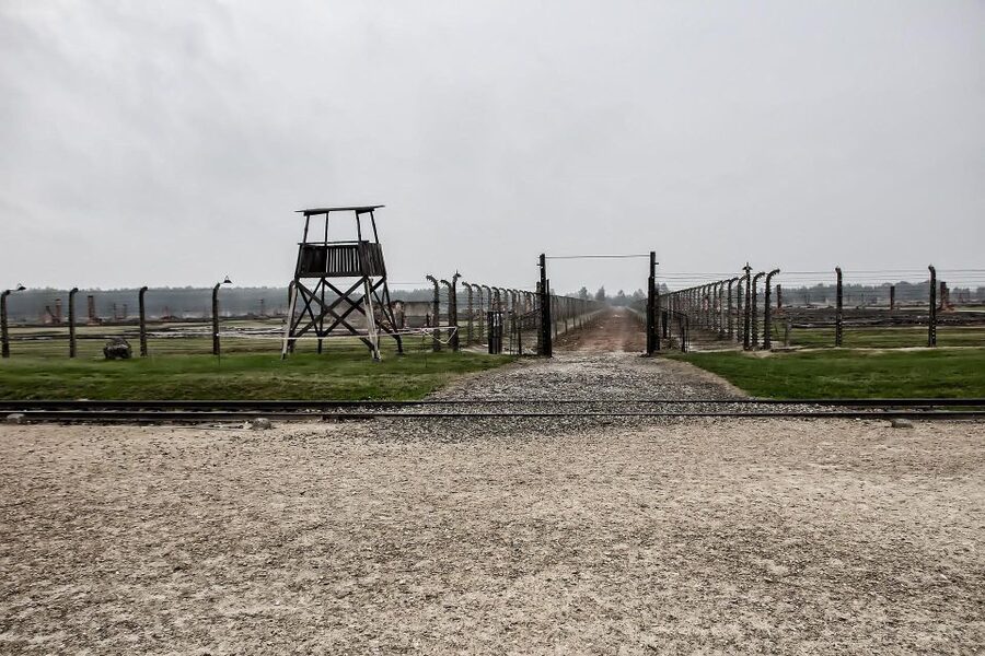From Warsaw: Auschwitz-Birkenau Guided Tour with Fast Train - Key Things to Know Before You Go