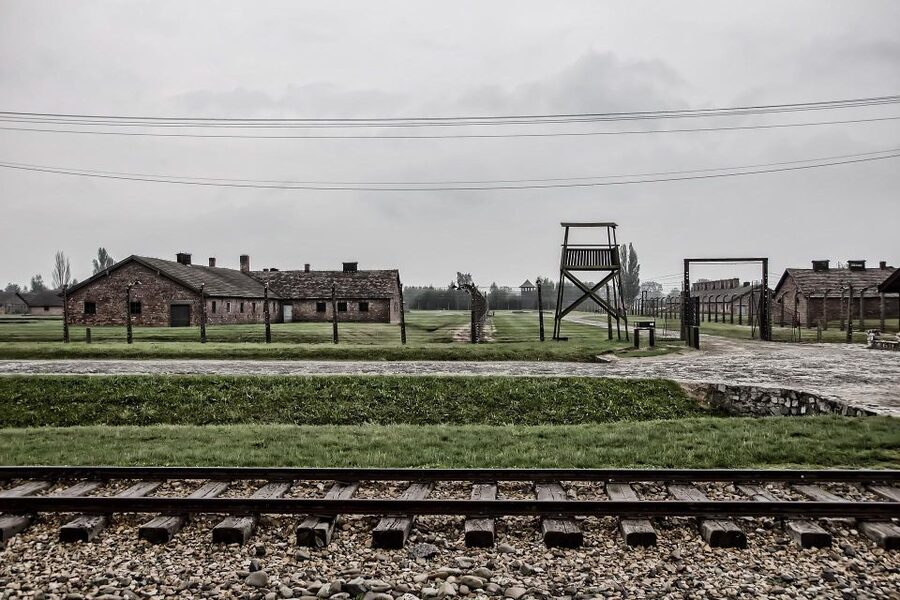 From Warsaw: Auschwitz-Birkenau Guided Tour with Fast Train - Should You Book This Tour from Warsaw?