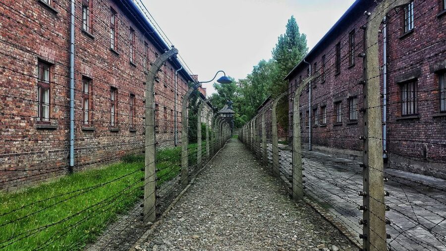 From Warsaw: Auschwitz-Birkenau Guided Tour with Fast Train - Auschwitz Museum I: Original Roads, Fences, Watch Towers, and Exhibits