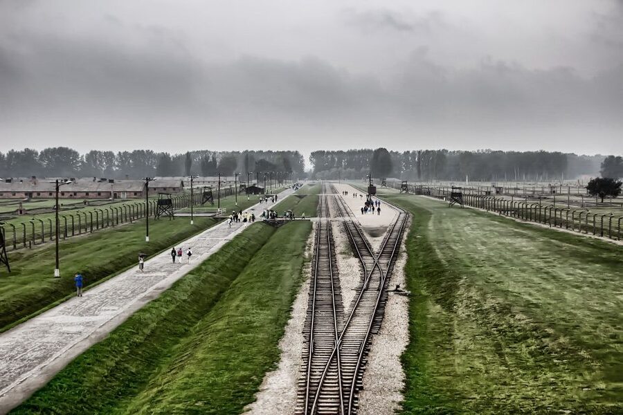 From Warsaw: Auschwitz-Birkenau Guided Tour with Fast Train - The Short Break That Helps You Reset for Birkenau
