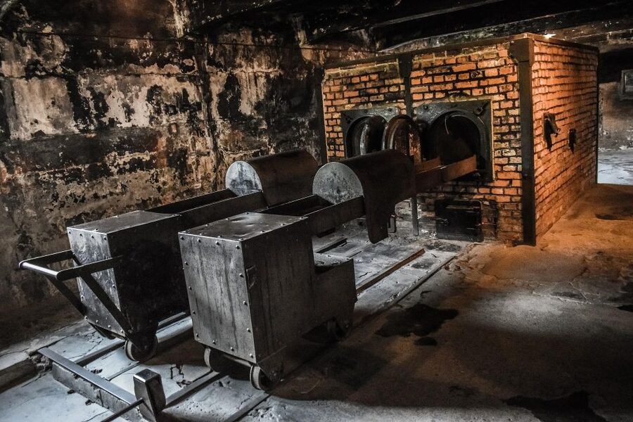 From Warsaw: Auschwitz-Birkenau Guided Tour with Fast Train - What to Wear and Bring (Because the Rules Are Real)
