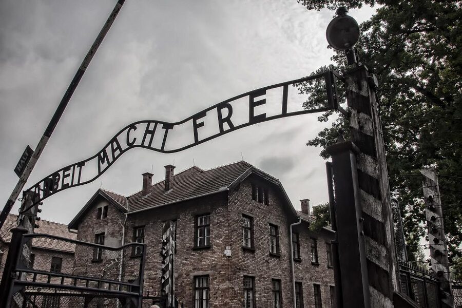 From Warsaw: Auschwitz-Birkenau Guided Tour with Fast Train - Who This Tour Suits Best (and Who Might Feel Frustrated)