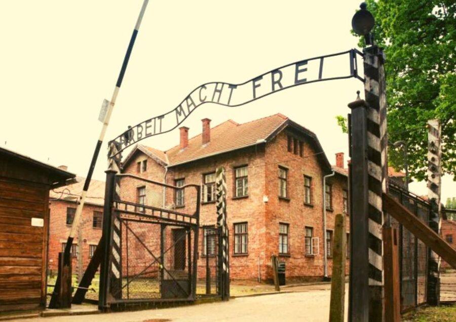 From Warsaw: Auschwitz-Birkenau Small Group Tour with Lunch - A 12-hour Warsaw day trip that hits hard, on purpose