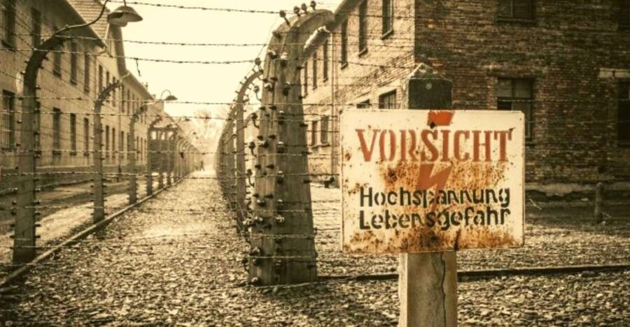 From Warsaw: Auschwitz-Birkenau Small Group Tour with Lunch - Auschwitz-Birkenau Memorial: the guided flow that keeps meaning intact
