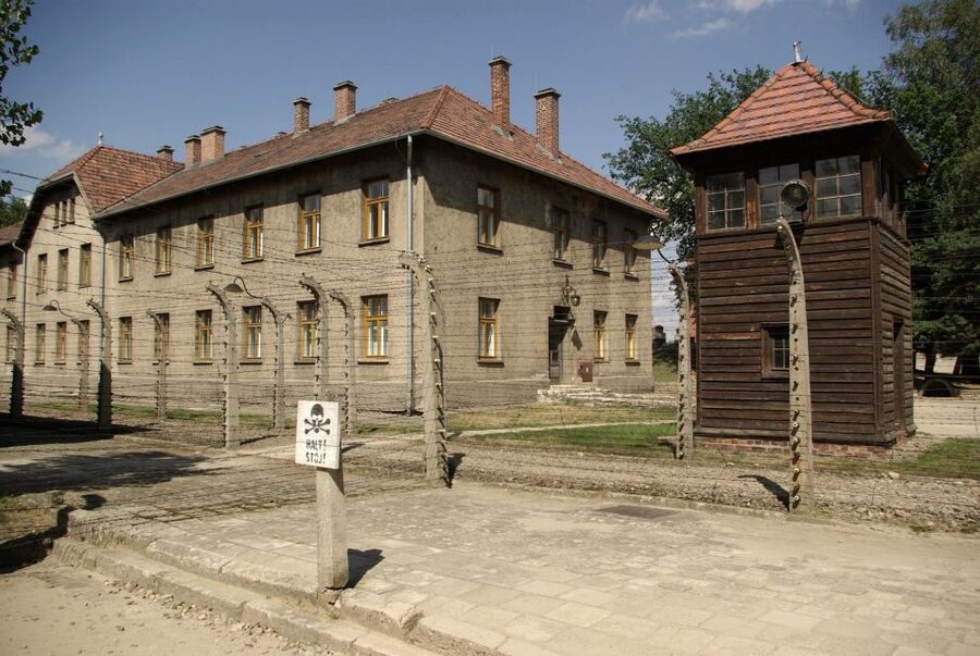 From Warsaw: Auschwitz-Birkenau Small Group Tour with Lunch - Museum time: artifacts and photos that turn numbers into people