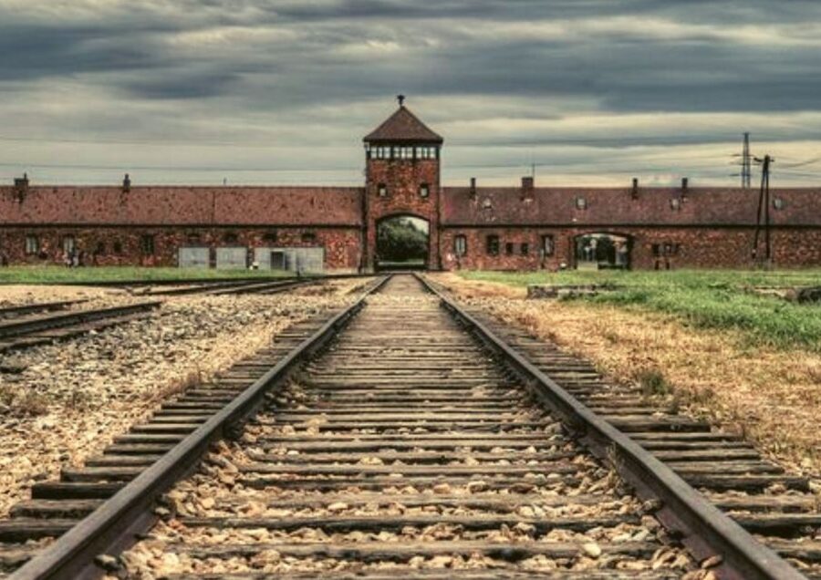 From Warsaw: Auschwitz-Birkenau Small Group Tour with Lunch - The pace, the group, and how to actually hear the guide