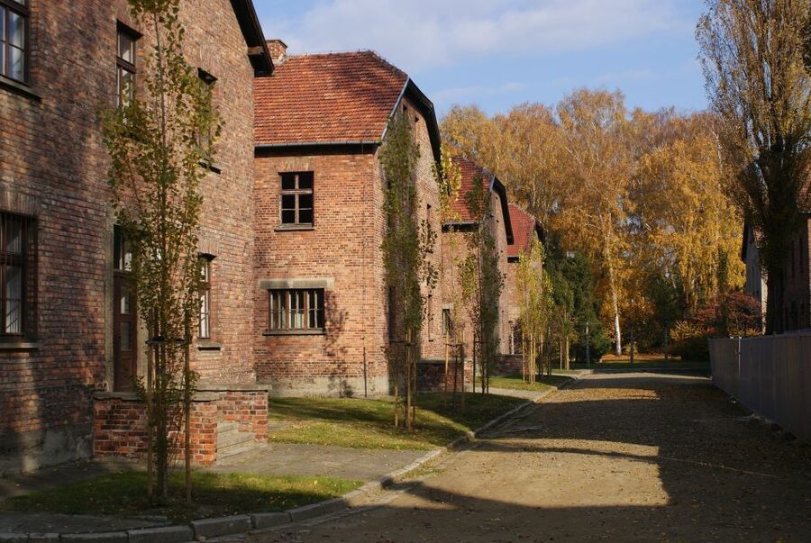 From Warsaw: Auschwitz-Birkenau Small Group Tour with Lunch - What $350 buys you, and whether it is good value