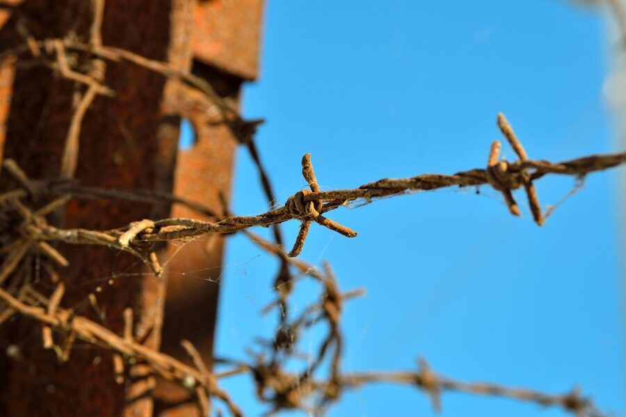 From Warsaw: Auschwitz-Birkenau Tour by Car - Auschwitz II-Birkenau: the scale, the Gate of Death, and why the walking matters