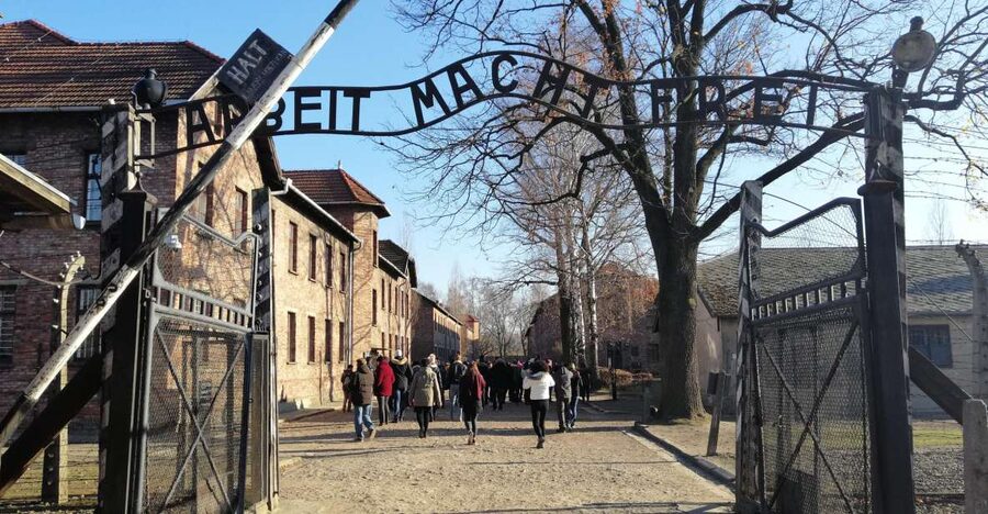 From Warsaw: Auschwitz-Birkenau Tour by Car - The guided pacing, live English guide, and the audio support
