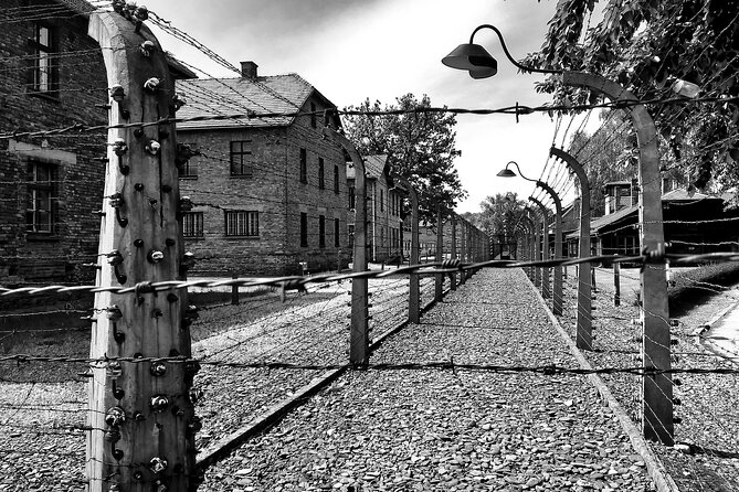 From Warsaw: Auschwitz-Birkenau Tour with Premium Train Transportation - Price and what value you are getting at $224.76