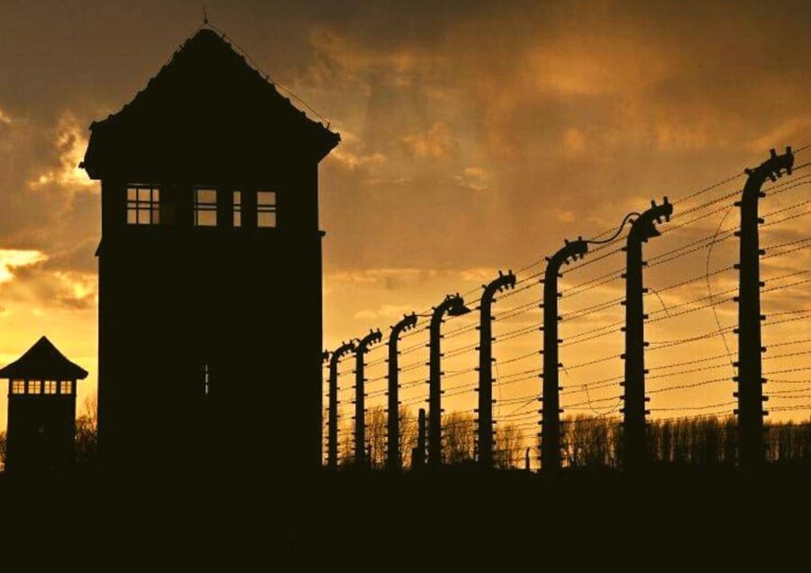 From Warsaw: Auschwitz Day Tour by Private Car with Lunch - Birkenau: watching towers, scale, and the reality of separation