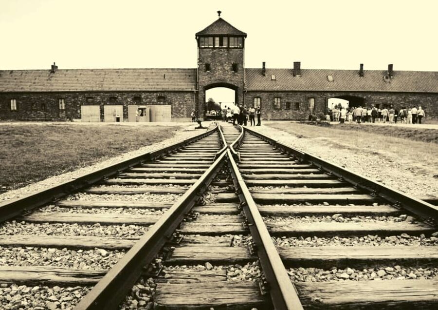From Warsaw: Auschwitz Day Tour by Private Car with Lunch - Price and value: what you’re paying for at $422 per person
