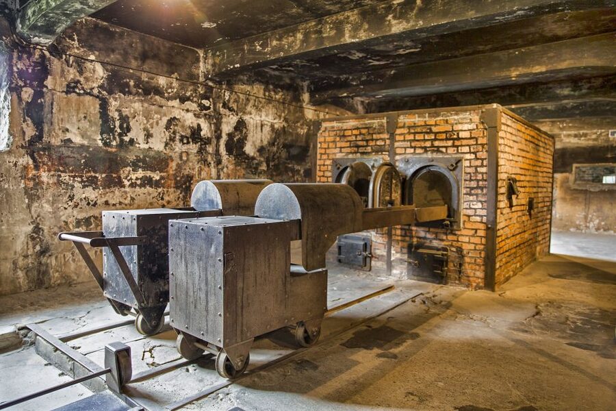 From Warsaw: Guided Tour to Auschwitz-Birkenau and Krakow - Back to Krakow: Old Town Time Near the Main Square