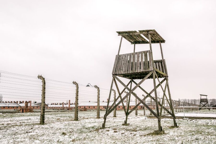 From Warsaw: Guided Tour to Auschwitz-Birkenau and Krakow - Who This Works Best For