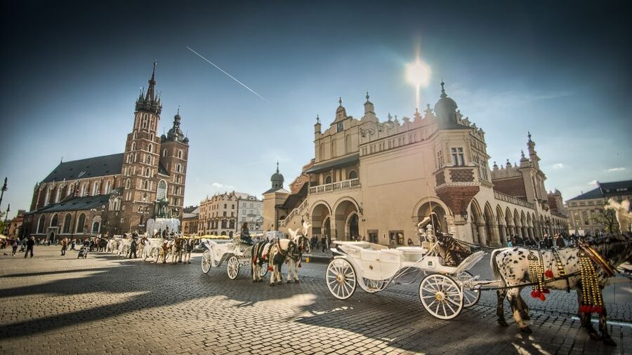 From Warsaw: Krakow Sightseeing Tour by Express Train - Wawel Castle And The Royal Cathedral: Poland’s Royal Stage