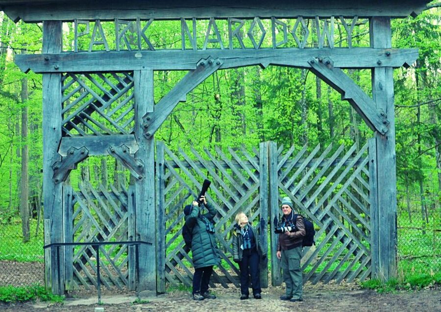 From Warsaw: Small-Group Tour to Bialowieza National Park - Wildlife time at the European bison show reserve (and beyond)