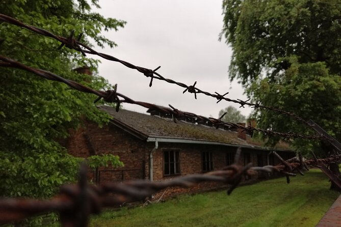 Full-Day Tour From Warsaw to Auschwitz (guided) and Krakow by car - Auschwitz-Birkenau, a guided group tour that demands respect and focus