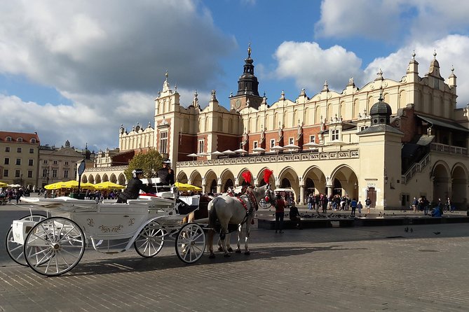Krakow - Full Day Tour from Warsaw by private car - Customizable private guiding: how the flexibility helps you