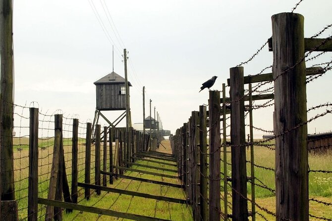 Lublin and Majdanek Small Group Tour from Warsaw with Lunch - Why the guide matters more than you expect