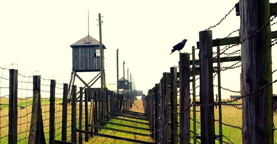 Lublin & Majdanek Small-Group Tour from Warsaw with Lunch - Majdanek State Museum: What to Expect and How to Prepare