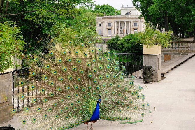 Warsaw City Tour - PRIVATE (4h) - From Royal Castle ruins to a careful reconstruction