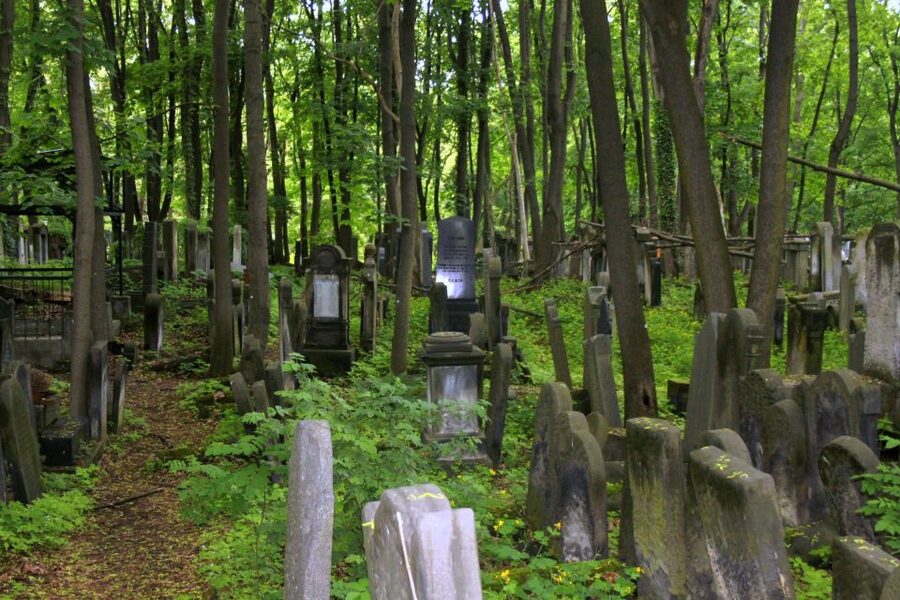 Warsaw Jewish Heritage Private Tour in Retro Fiat - Jewish Cemetery Walk: Quiet Ground, Many Stories