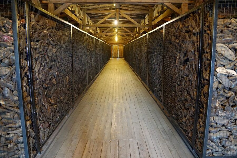 Warsaw: Majdanek Concentration Camp & Lublin Guided Day Tour - A Small Reality Check: This Day Is Moderate Walking