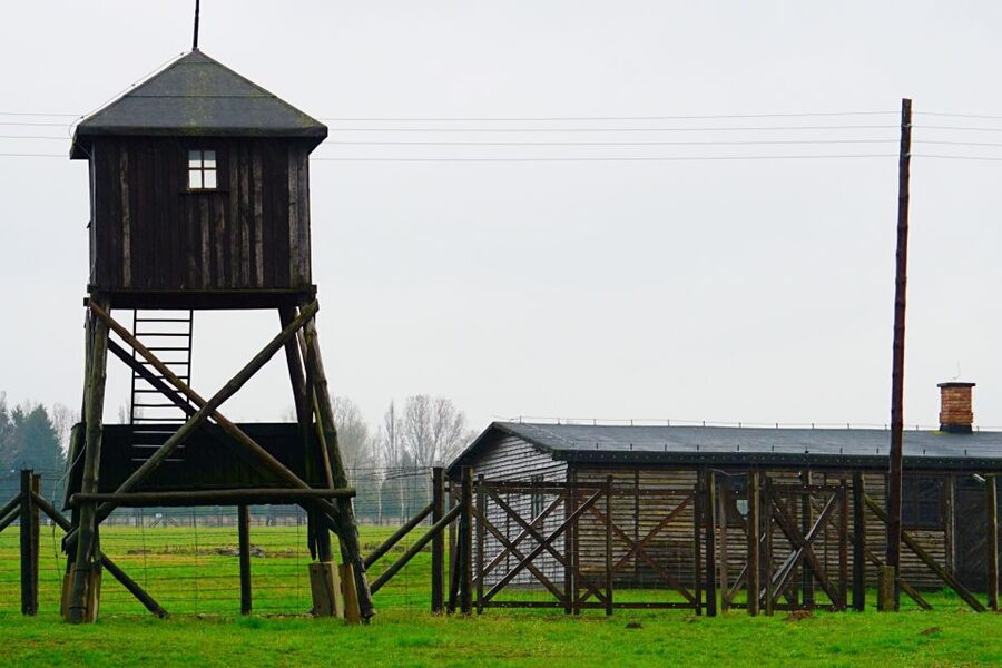 Warsaw: Majdanek Concentration Camp & Lublin Guided Day Tour - Hotel Pickup and the Mercedes Van Comfort Factor