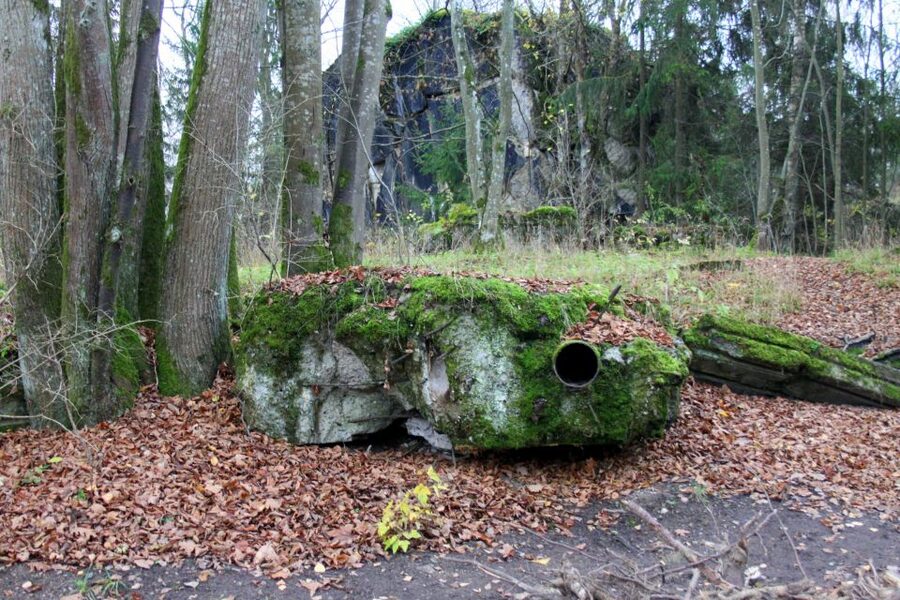 Warsaw: Private Full-Day Wolf's Lair Tour - The drive into Masuria makes the whole day feel different
