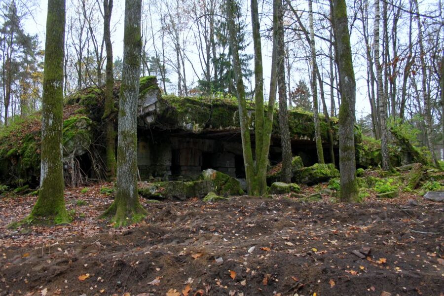 Warsaw: Private Full-Day Wolf's Lair Tour - Operation Barbarossa and the planning rooms you can picture