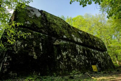 Private Full-Day Wolf’s Lair Tour