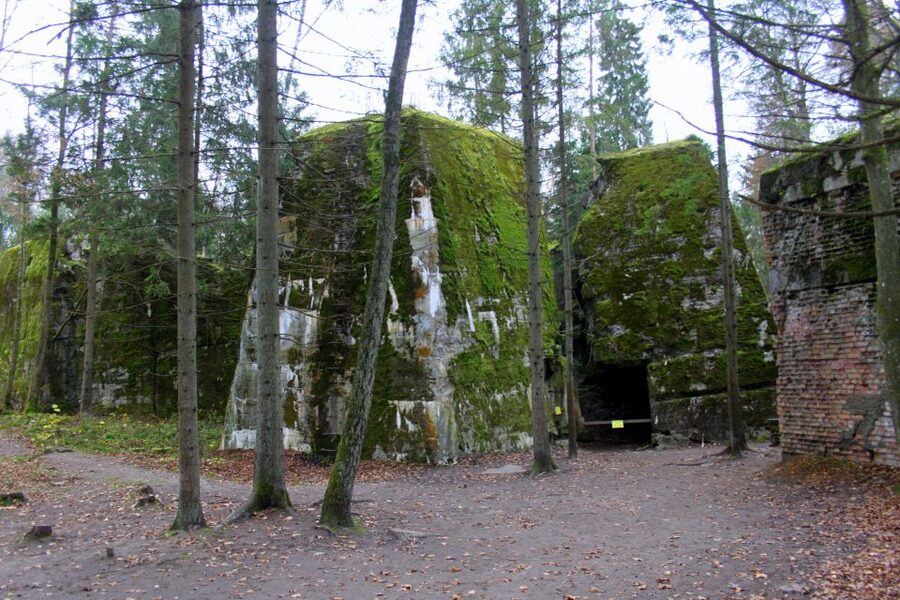 Warsaw: Private Full-Day Wolf's Lair Tour - Why your guide changes everything on this kind of tour