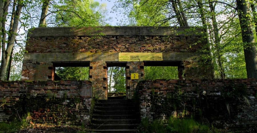 Warsaw: Private Full-Day Wolf's Lair Tour - A return stop you can tailor: Mamerki, a medieval castle, or a Baroque church