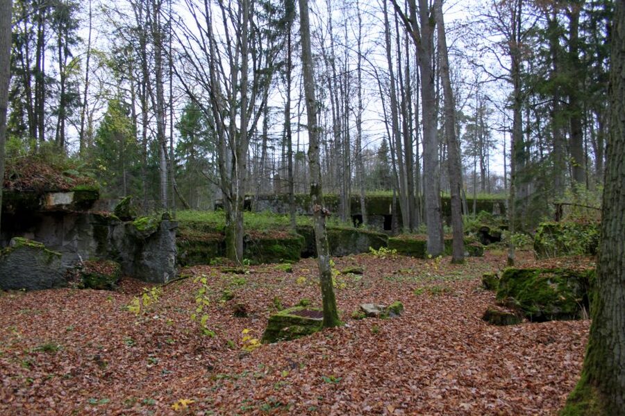 Warsaw: Private Full-Day Wolf's Lair Tour - Who should book this Wolf’s Lair day trip, and who should skip it