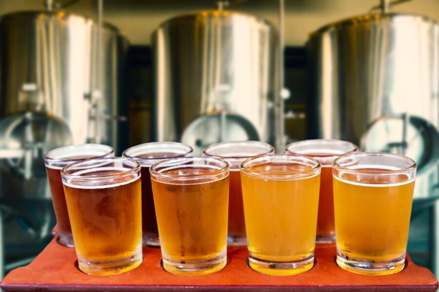Warsaw Private Polish Beer Tasting Tour at Best Pubs & Bars - Who should book this Warsaw beer tasting, and who might not need it