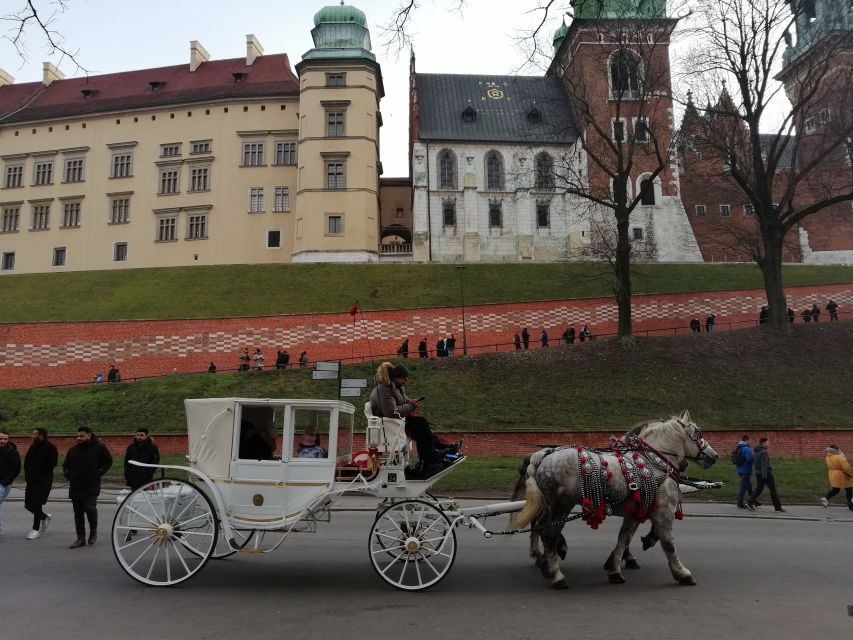 Warsaw: Tour to Krakow and Auschwitz by Train with Pickup - Key highlights before you go