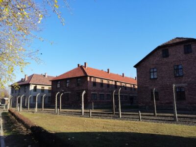 Tour to Krakow and Auschwitz by Train with Pickup