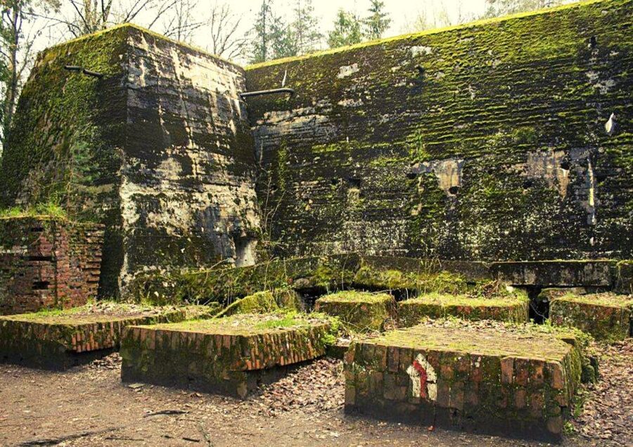 Warsaw: Wolf's Lair & Swieta Lipka Small-Group Tour + Lunch - Final call: should you book Wolf’s Lair and Święta Lipka?