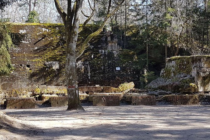 Wolf's Lair & Treblinka Tour in 1 day from Warsaw - Price of $347.50 per person: what makes it feel worth it